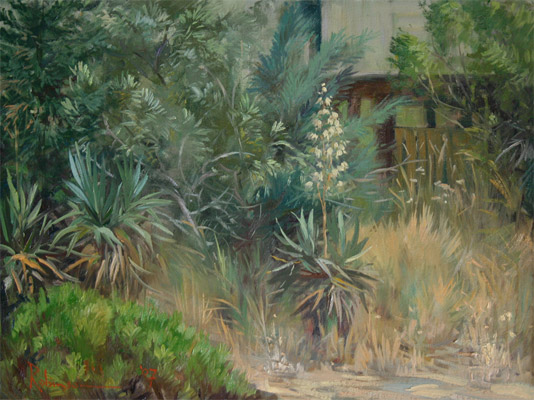 Yucca and Russian Olive